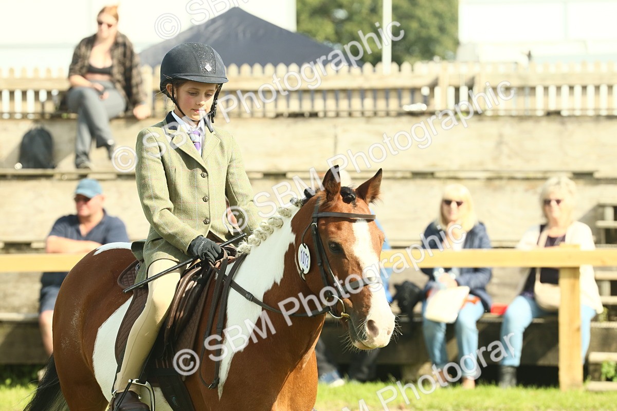 SBM_68930 - S58 - Mini Show Cob Ridden