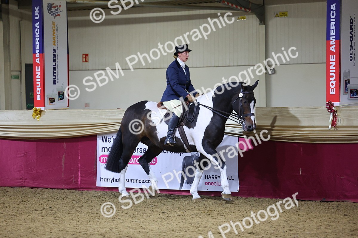 0B8A4447 - Class O Ridden Show Horse Champ