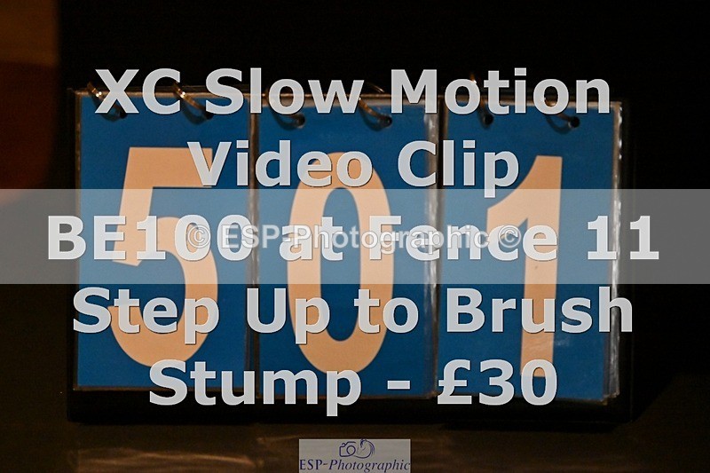 ESP_501 - 501-Captain.Holly.Day-MUSTANG