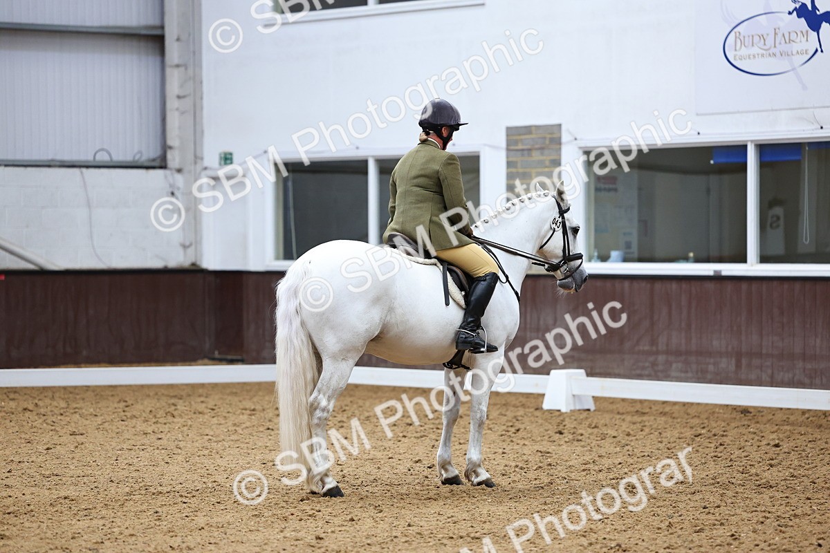 SBM_005482 - Elementary 2