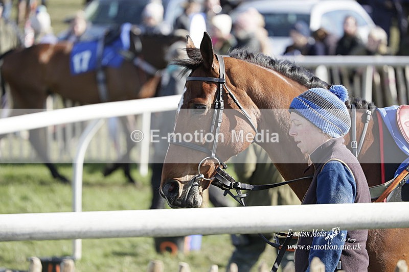 PtP 100423 982 - Old Berkshire Point-to-Point Lockinge 10/04/23