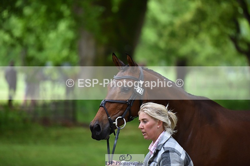 240522-165312-01227 - 276-FOURFIELDS_WONDER_WOMAN-Heidi_Coy