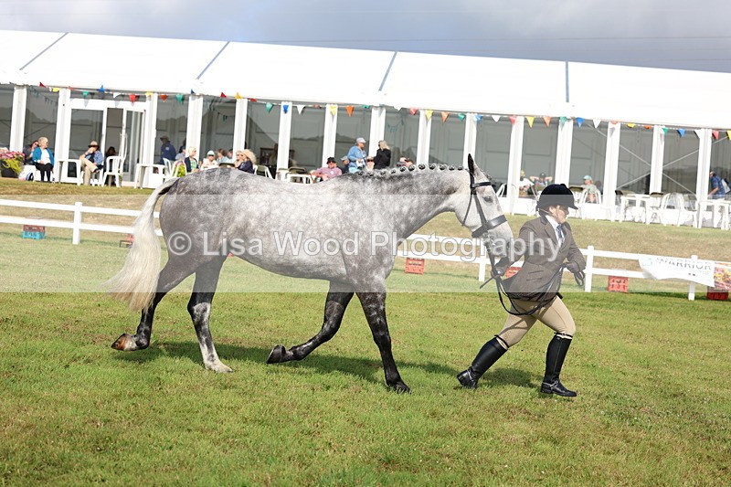 3E7A9075 - Class 3: Rising Star S/L Hunter