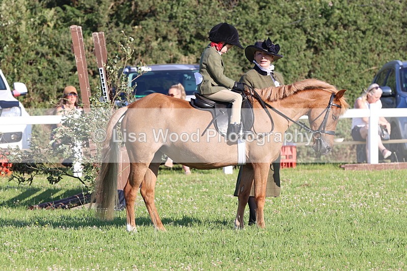 JPP_0767 - Class 16: Cornish Combination Leading Rein