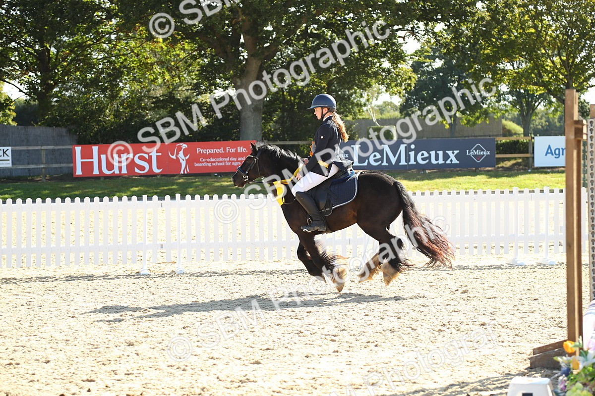 SBM_36060 - J5 - Junior Pony 50cm Championship