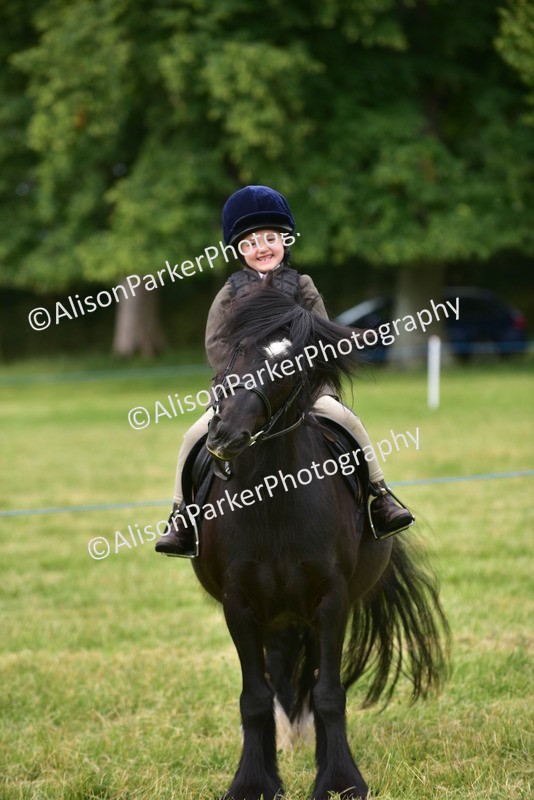 20260614-3700 - Class 15 - Prettiest Mare