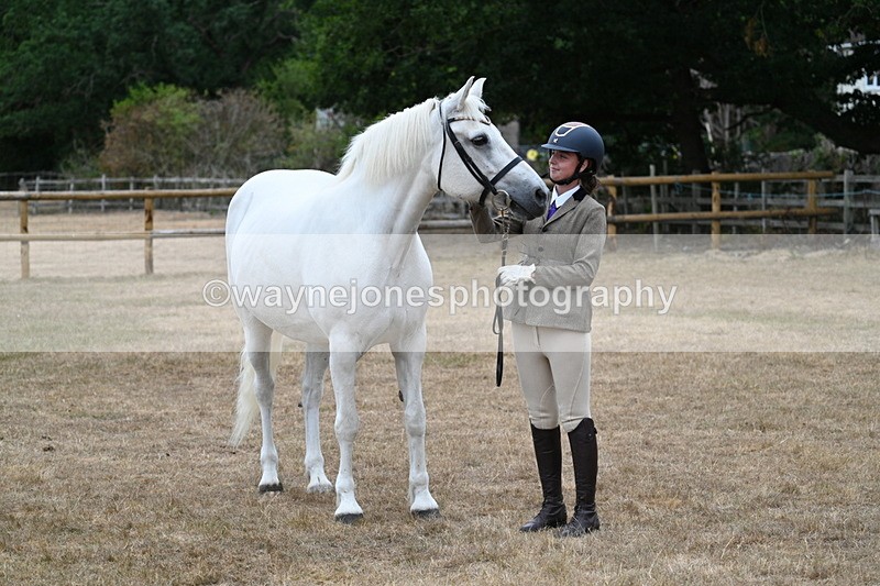 WJ7_9168 - Class 4a Prettiest Mare 14.2hh and over