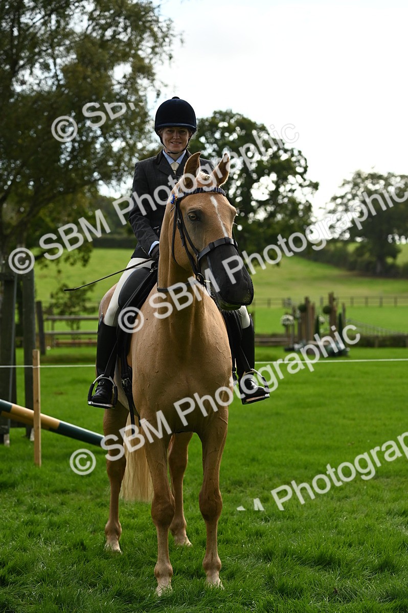 SBM_26372 - S6 - Novice & newcomer Ridden horse