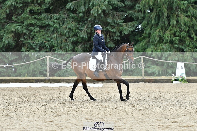 260801A-125220-04080 - Prelim Bronze Break - End