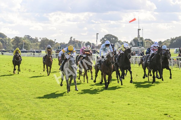 111024-Race 2-Mirabeau-1480 - Race 2 2.05pm British EBF £100,000 Final