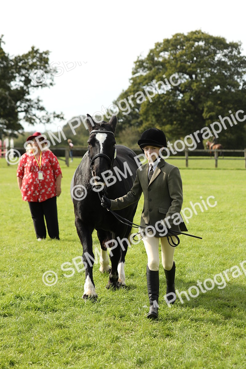 SBM_68667 - S40 - Junior Handler 9-12 Years