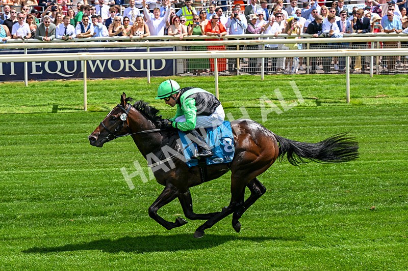 270626-Race 1-Sirocco Sands-0106 - Race 1 13.20pm Al Basti Equiworld Dubai Novice Stakes