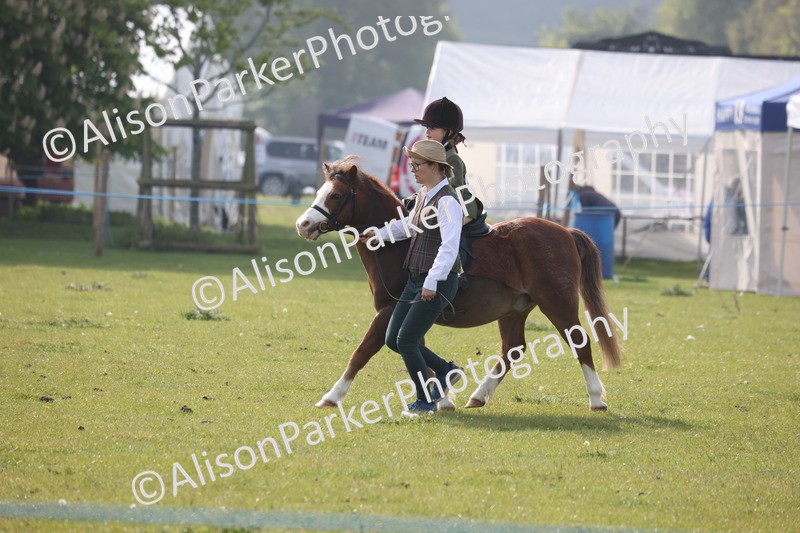 20260426-0312 - Class 30 - Tiny Tots Lead Rein