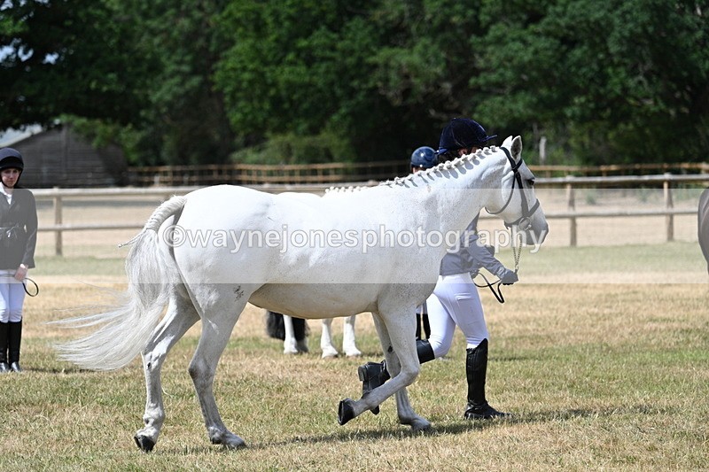 WJ7_1613 - Class 4 Prettiest Mare up to 14.2hh in hand