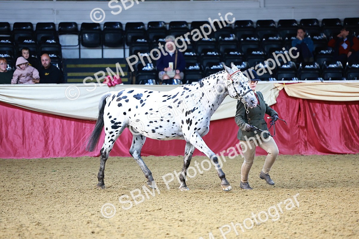 SBM_21783 - Class 901 - Supreme Final - IH  Diamond