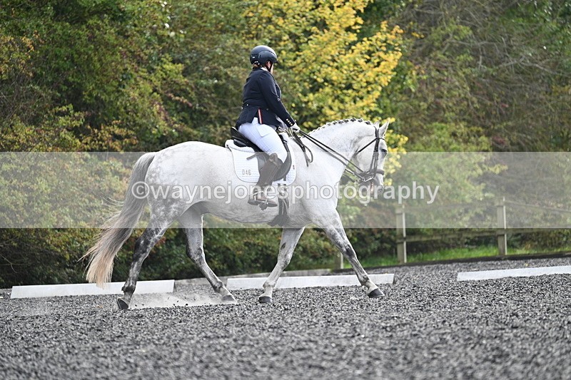 WJ7_6914 - Time 14:49 to 15:14