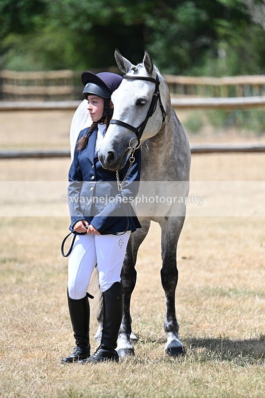 WJ7_2017 - Class 4a Prettiest Mare 14.2hh and over hand
