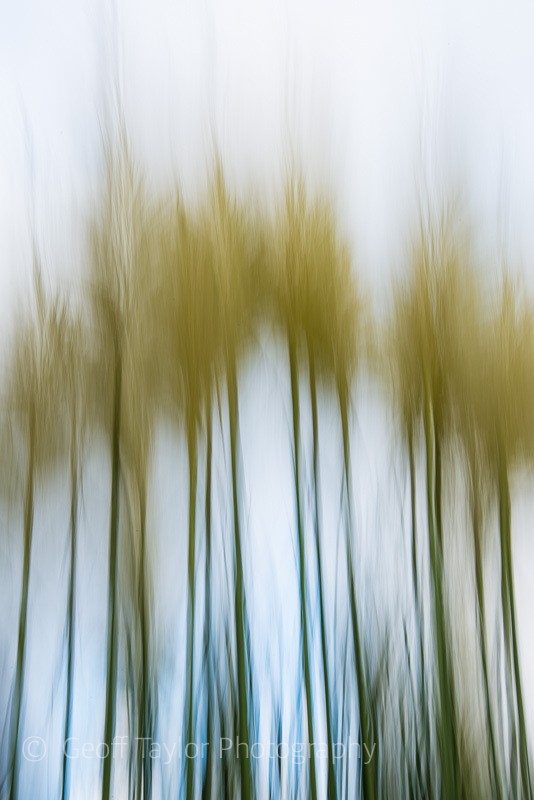 Perceptions of Reality 4 - Mindfulness and Meditation