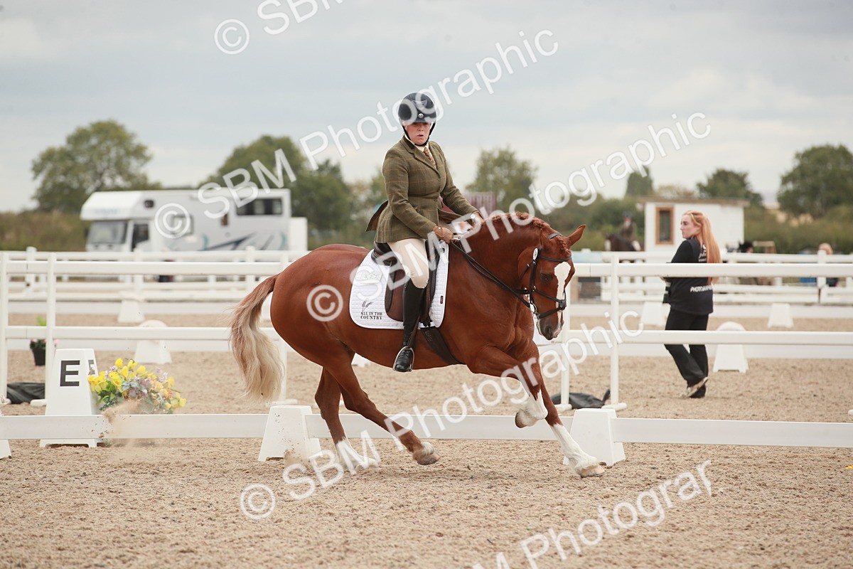 SBM_06101