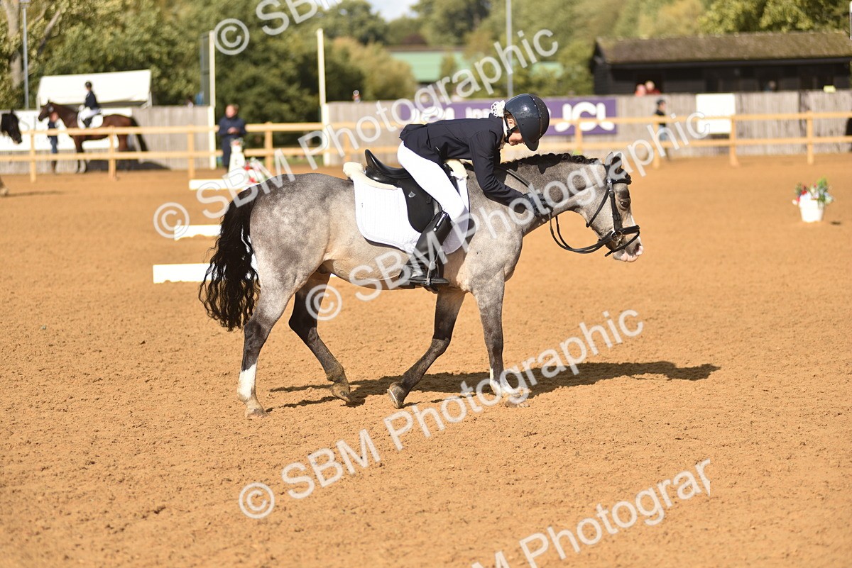 SBM_48825 - D22 - Junior Championship Intro 3