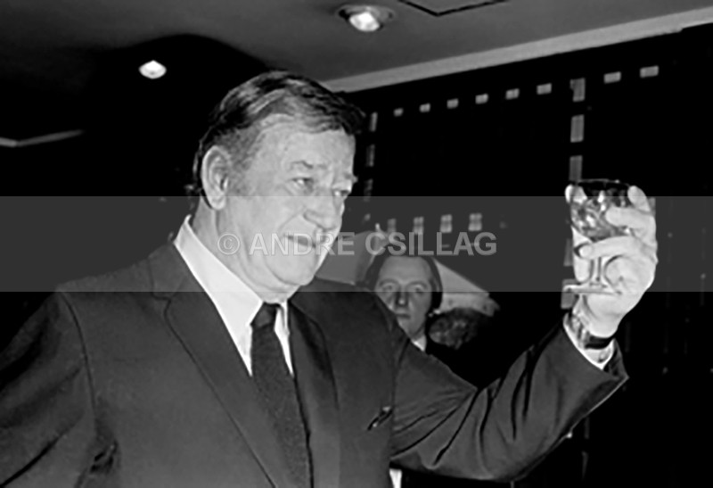 JOHN WAYNE - W..