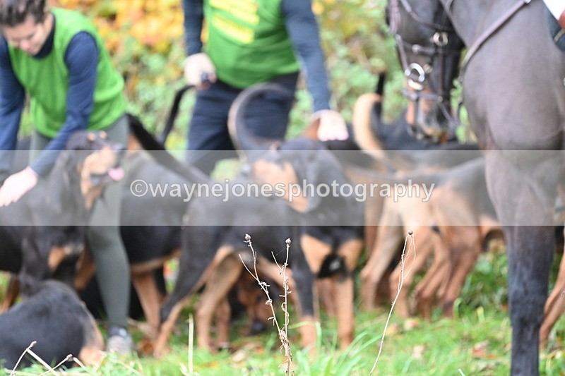 WJ6_8581 - Meet