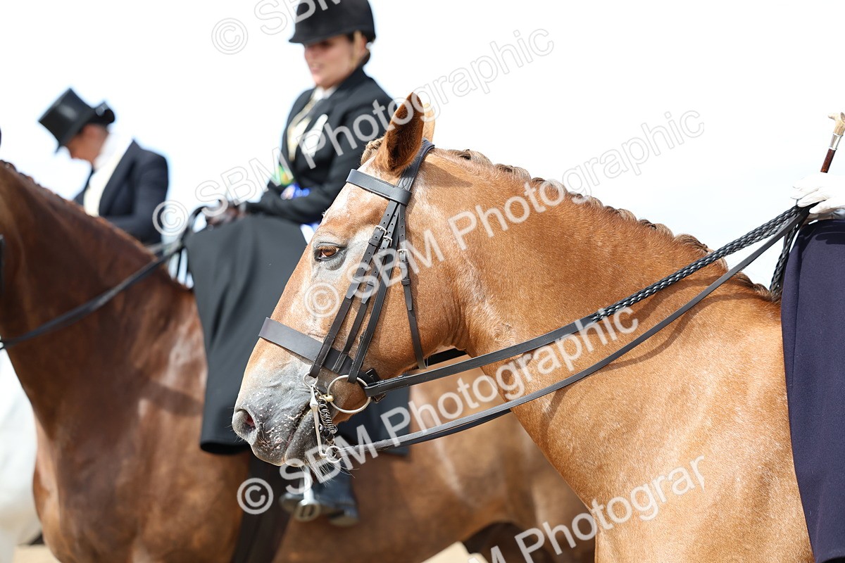 SBM_03278 - Class 22 - SSA Equitation (any age)