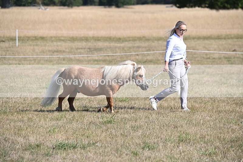 WJ6_7182 - Class 33 Rescue Pony