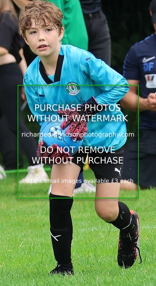 533A7941 - Burton Thistle