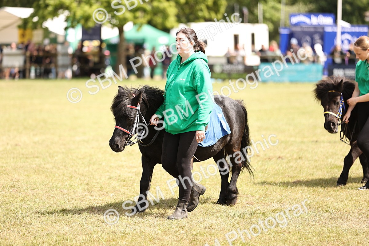 SBM_16382 - Dinky Derby