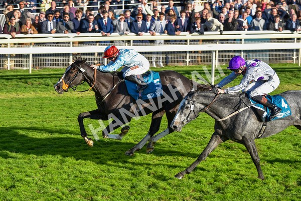 141023-Race 6-Punctuation-1510 - Race 6 4.10pm Coral Get Closer To The Action Handicap