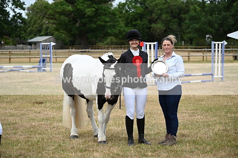 WJ6_4442 - Class 10 Coloured In-hand