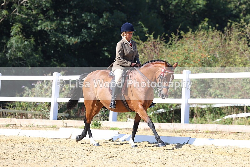 3E7A5705 - Class 10: Riding Horse