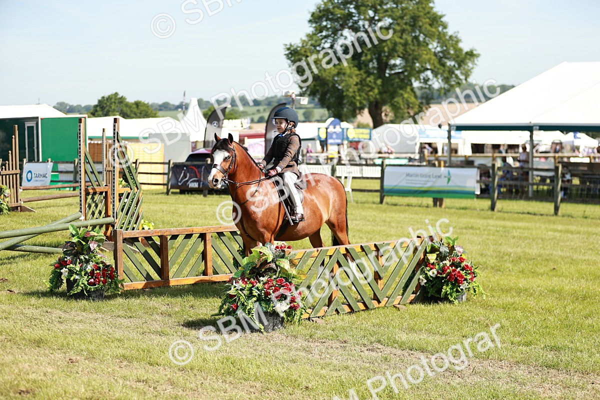 SBM_12735 - Class 106-107 - BSPS LIHS Working Sports Pony