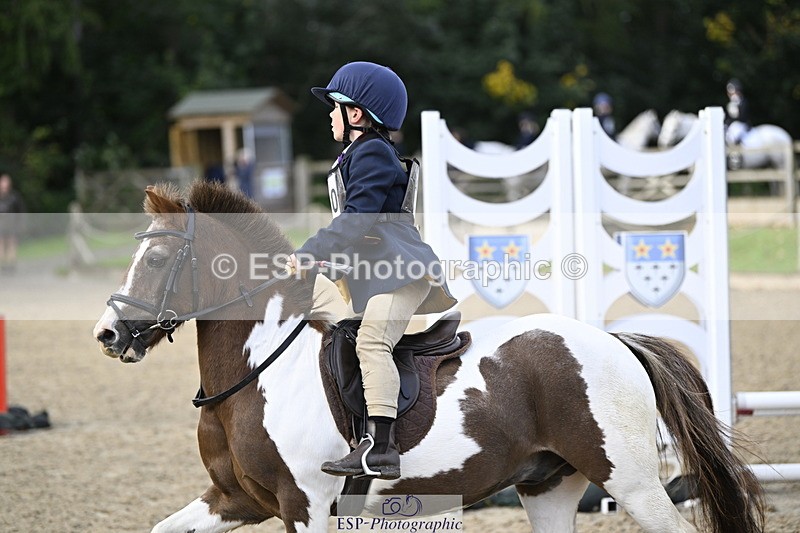 251005A-091503-03014 - Cls 02 GR 50cm