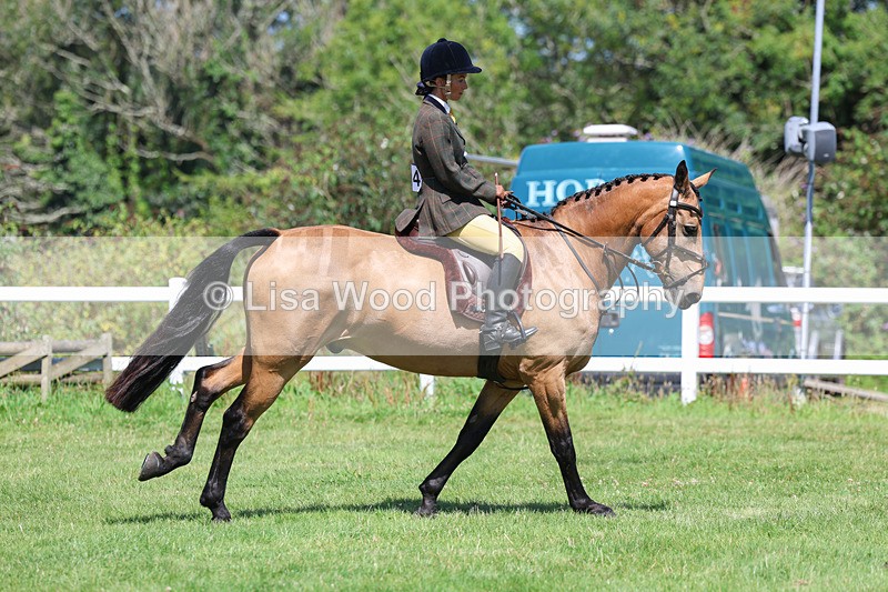 3E7A8957 - Class 6: Open Working Horse