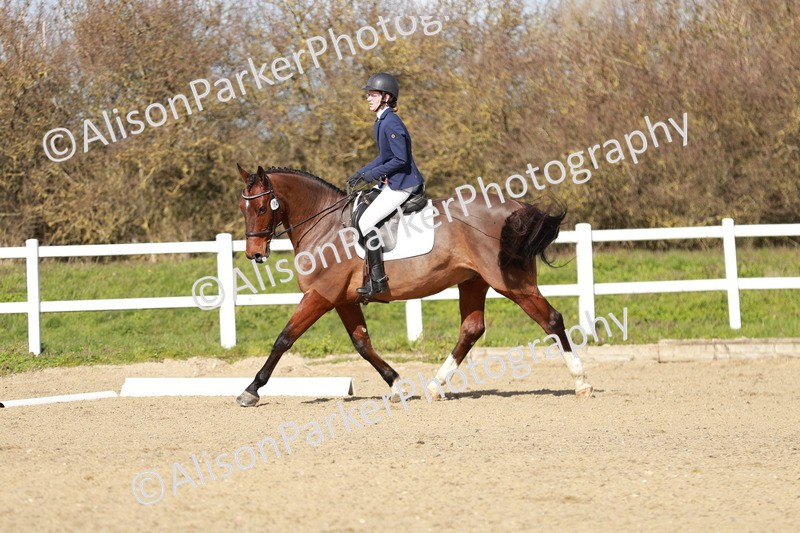 20260314-3006 - DR3 - Prelim 1