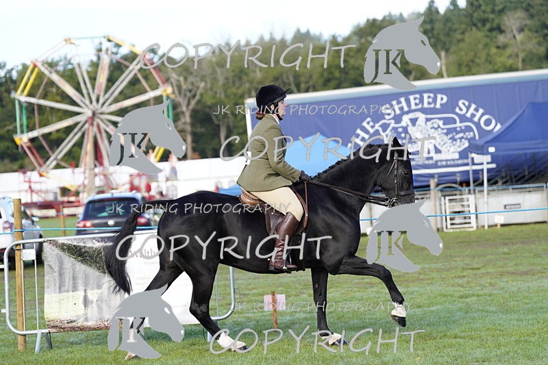 _DSC9348 - Class 8 & 17 Ridden Hunter & Ridden Hunter Pony