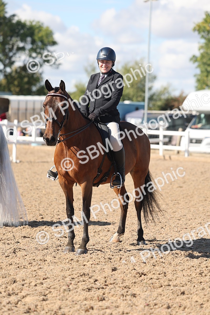 SBM_13073 - Class 305 - Ridden Foreign Breed Pure Bred