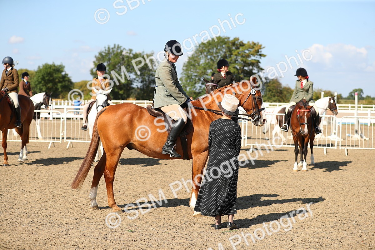 SBM_02356 - Class 43 Ridden Competition Horse/Pony