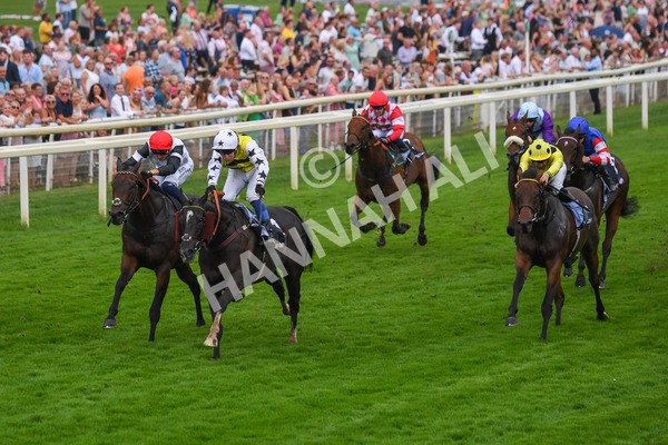 100923-Race 5-Commanche Falls-0877 - Race 5 3.50pm BetGoodwin Garrowby Stakes
