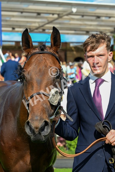 280625-Race 6-Dream Out Loud-0613 - Race 6 4.50pm Al Basti Equiworld Dubai Sprint Handicap