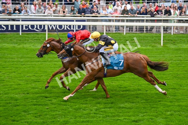 080925-Race 2-Alzahir-7436 - Race 2 3.00pm Sky Bet Super Sub Sprint Handicap