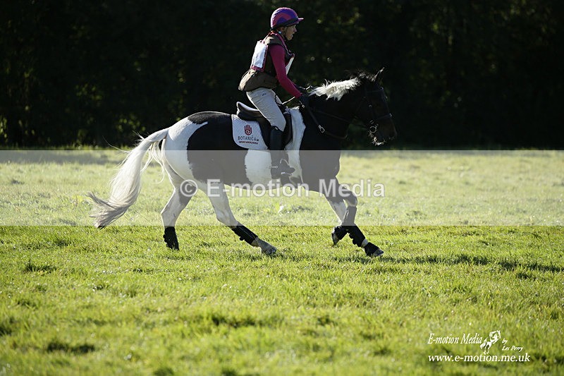  WWHT 031021 660 - WWEC Novice Restricted (0.80m) 18/10/20