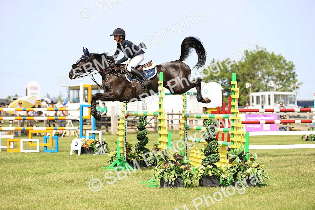 SBM_03054 - Class 201 - British Horse Feedds Speedi Beet HOYS Grade C