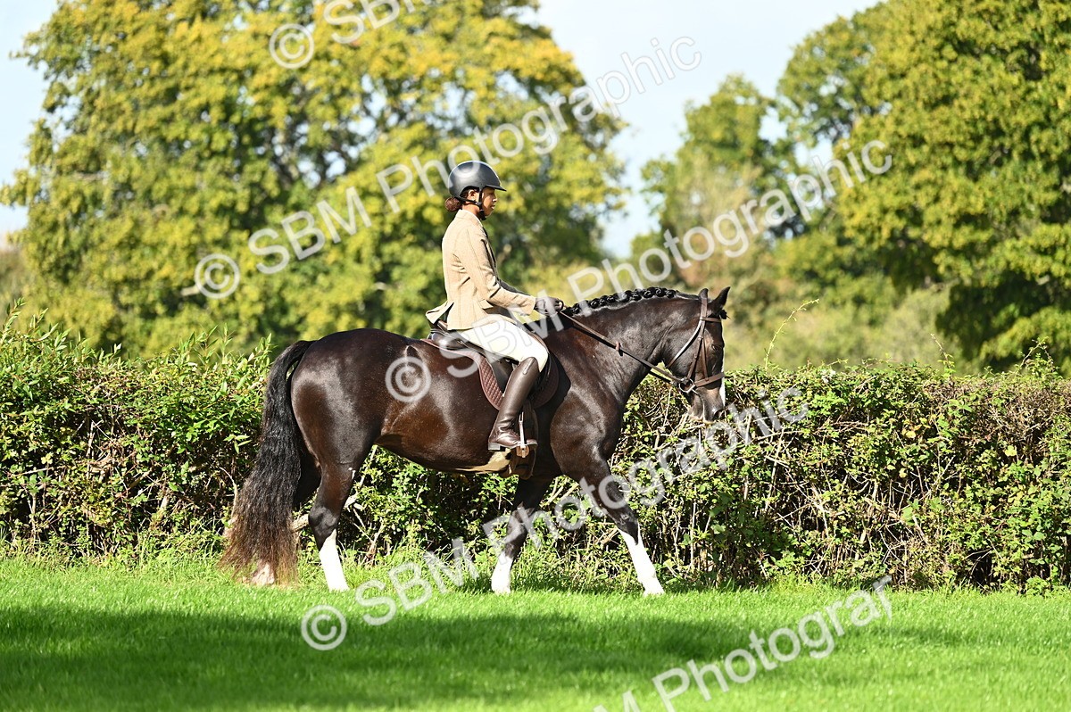 SBM_01257 - S2 - TSR Ridden Horse Showing