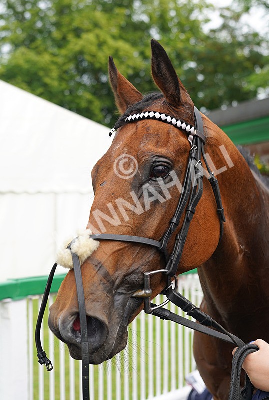 160626-Race 3-Vingegaard-8 - Race 3 15.25pm Theakston Brewing Legends Since 1827 Handicap