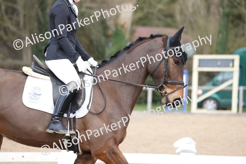 20260301-0241 - Class 3 - Novice 4