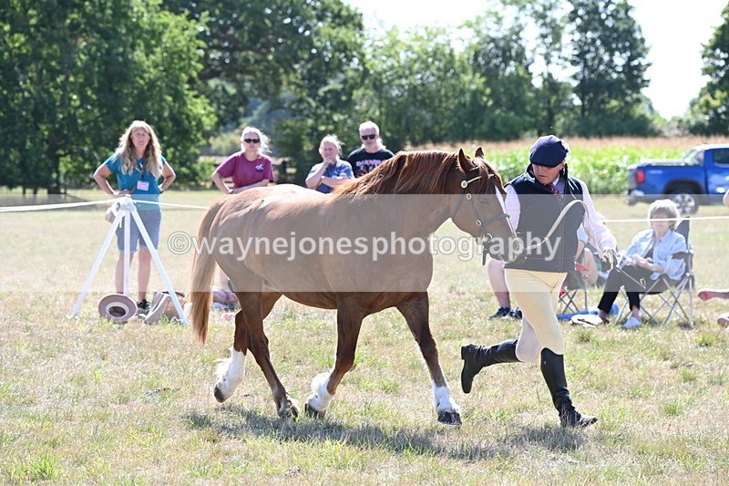WJ6_4839 - Class 17 Mountain & Moorland