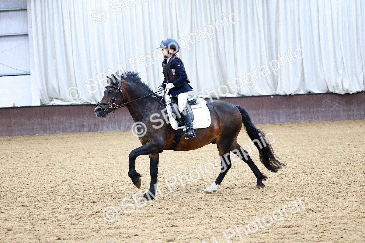 SBM_000032 - 50cm